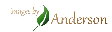 Images by Anderson logo