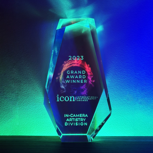 Icon Grand Award trophy