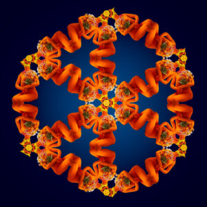 P2507_250607_A8444E2