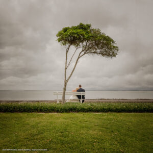 2025 SWPP Monthly Awards Wedding - Highly Commended